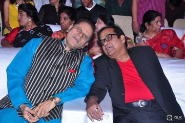 Mama Manchu Alludu Kanchu Movie Audio Launch